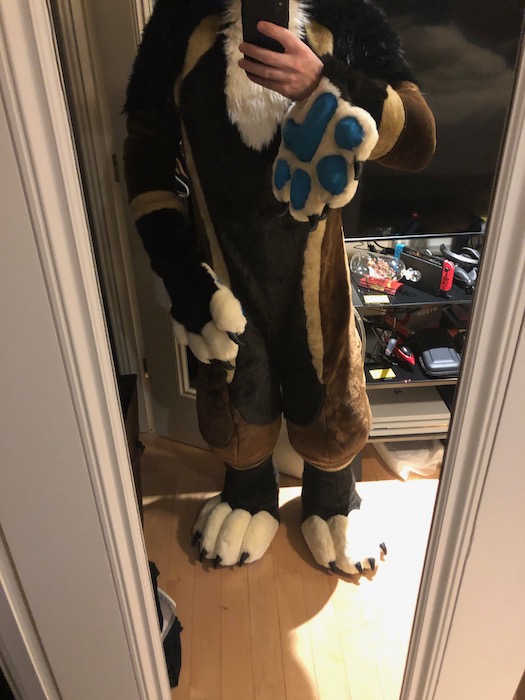 Finished Body